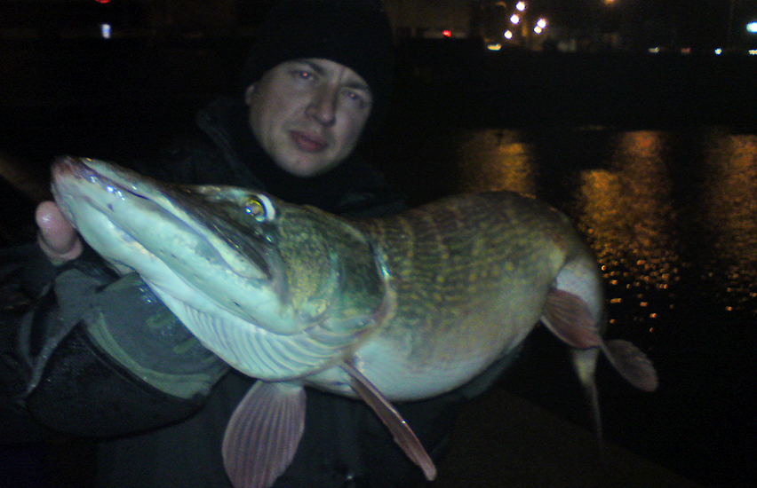 Hecht duisburg hafen