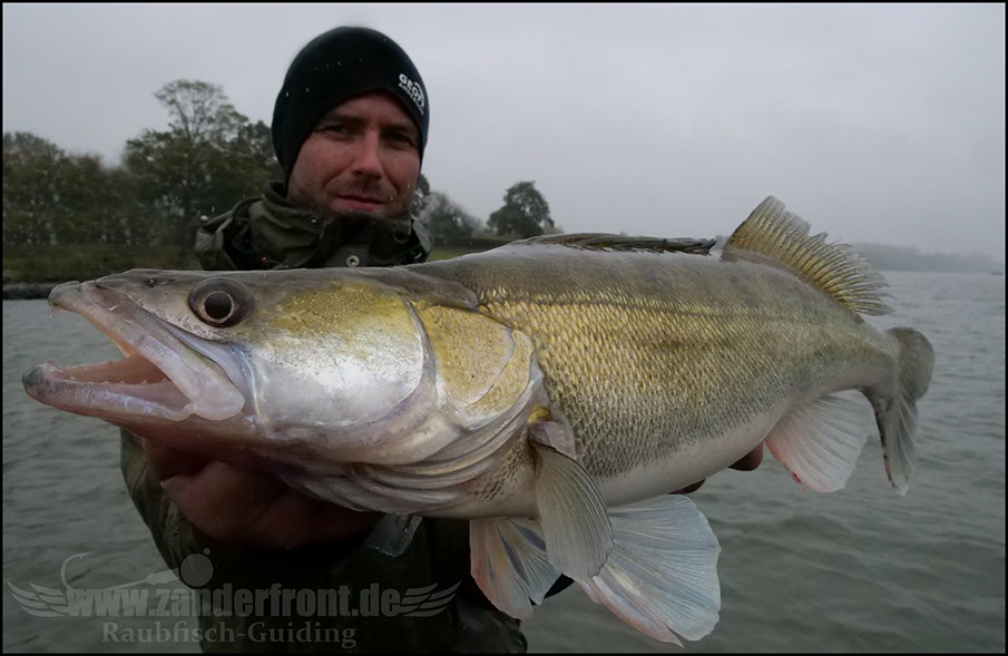 monster Hecht vertikal