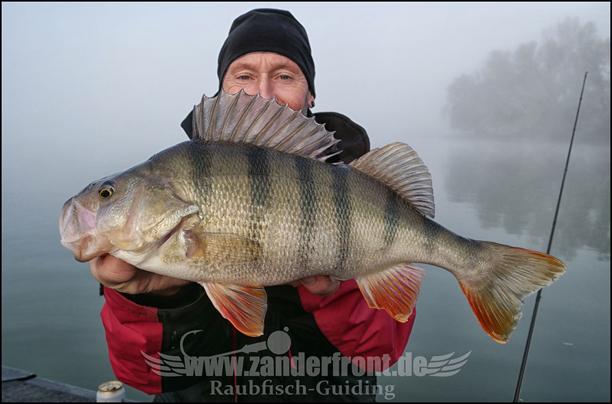 monster Hecht vertikal