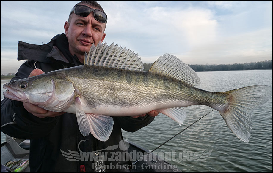 monster Hecht vertikal