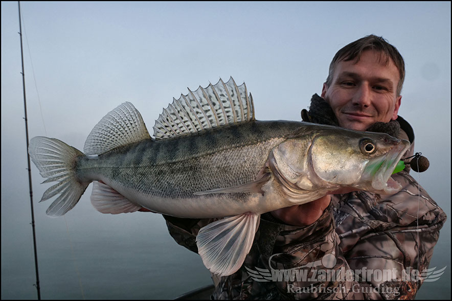 monster Hecht vertikal