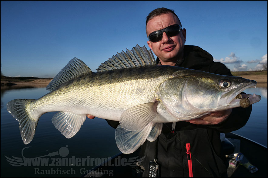 monster Hecht vertikal