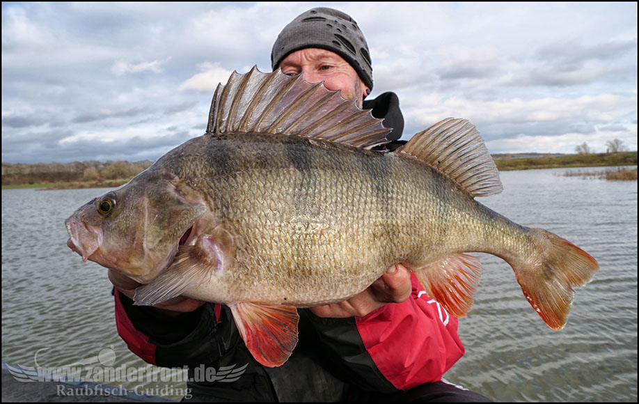 monster Hecht vertikal