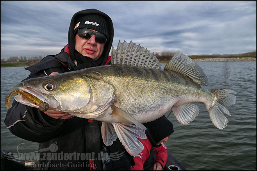 monster Hecht vertikal