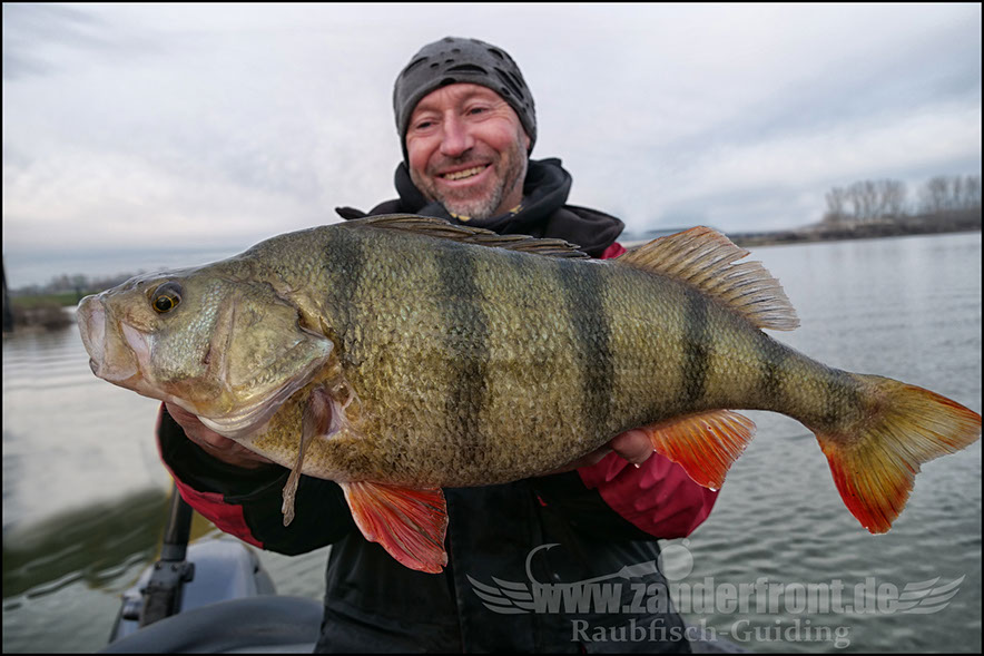 monster Hecht vertikal