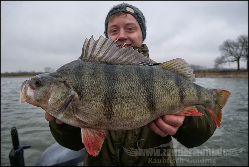 monster Hecht vertikal