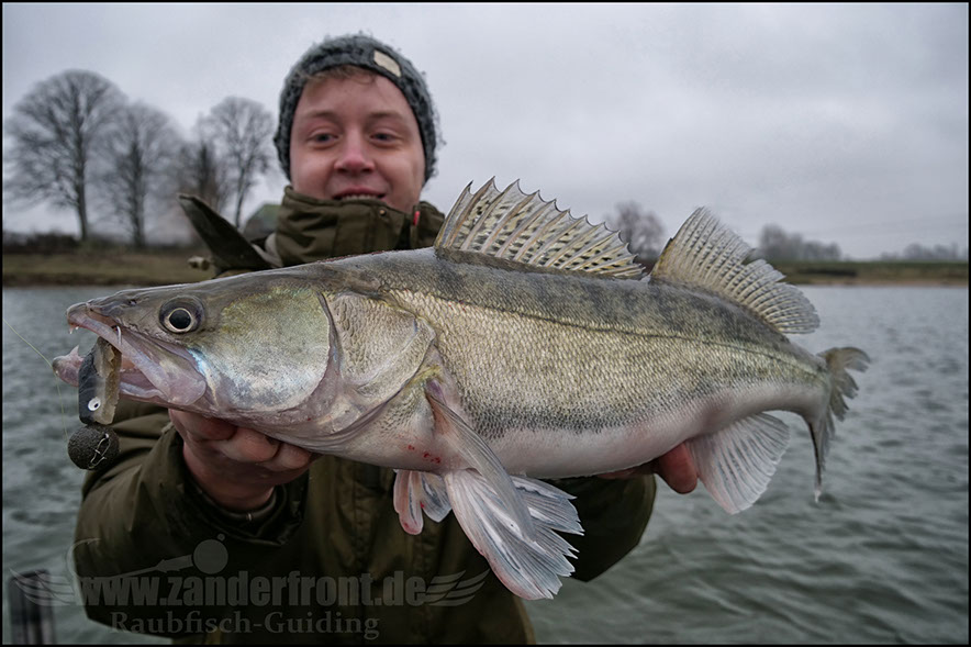 monster Hecht vertikal