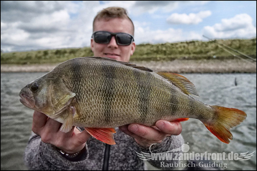 monster Hecht vertikal