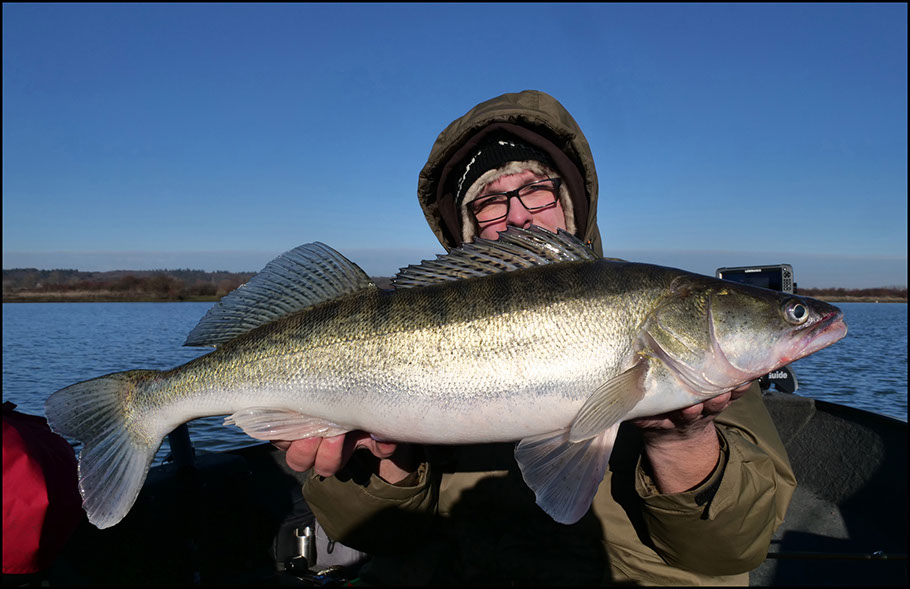 monster Hecht vertikal