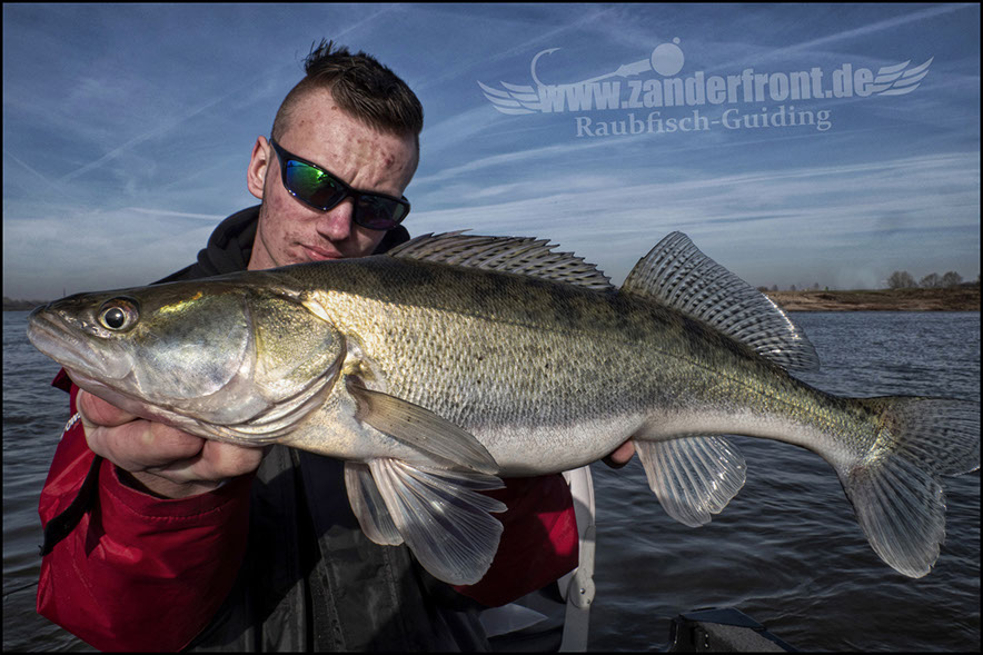 monster Hecht vertikal