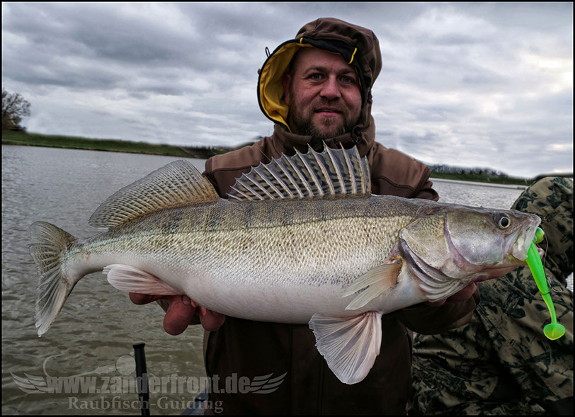 monster Hecht vertikal