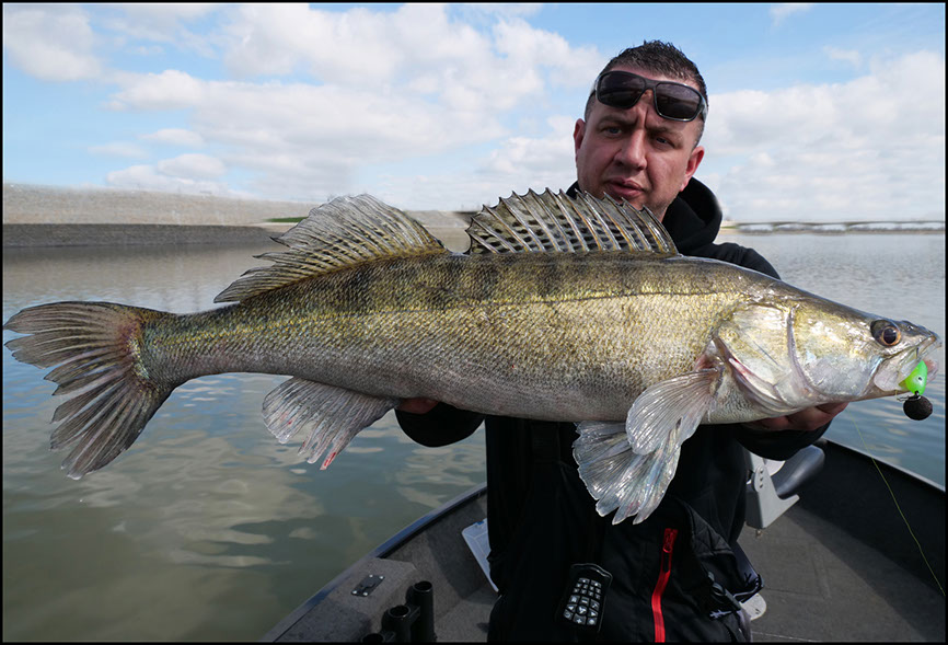 monster Hecht vertikal