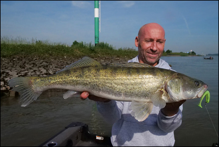 monster Hecht vertikal