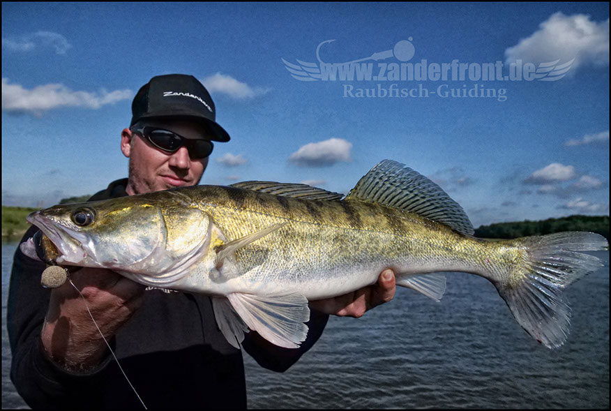 monster Hecht vertikal