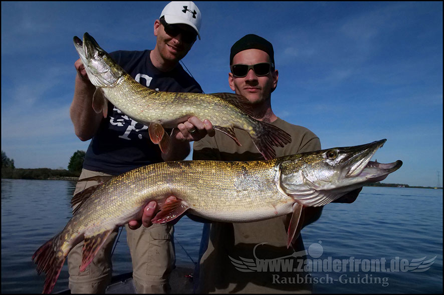 monster Hecht vertikal