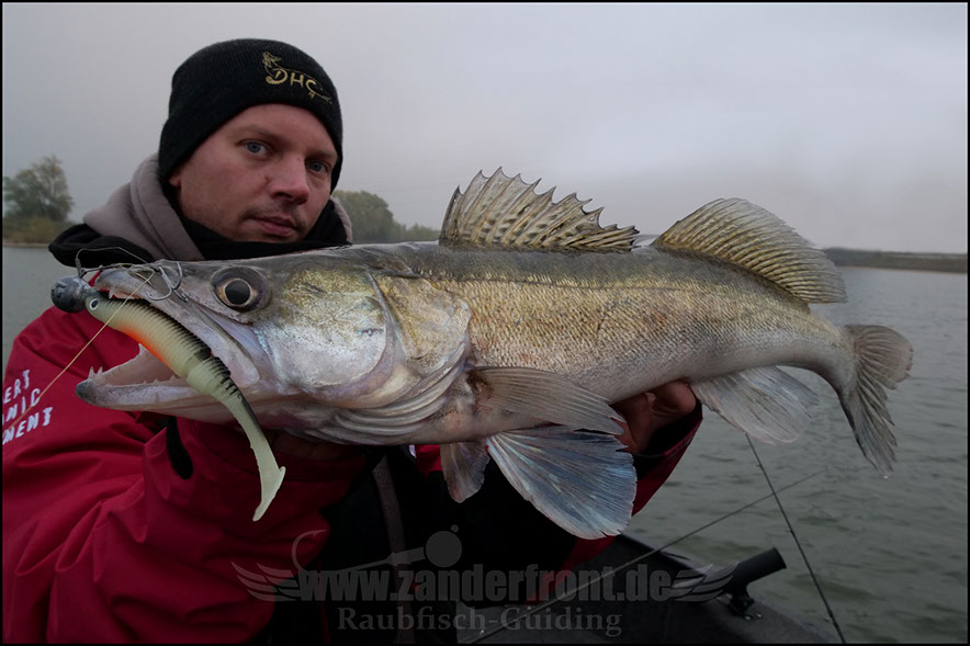 monster Hecht vertikal