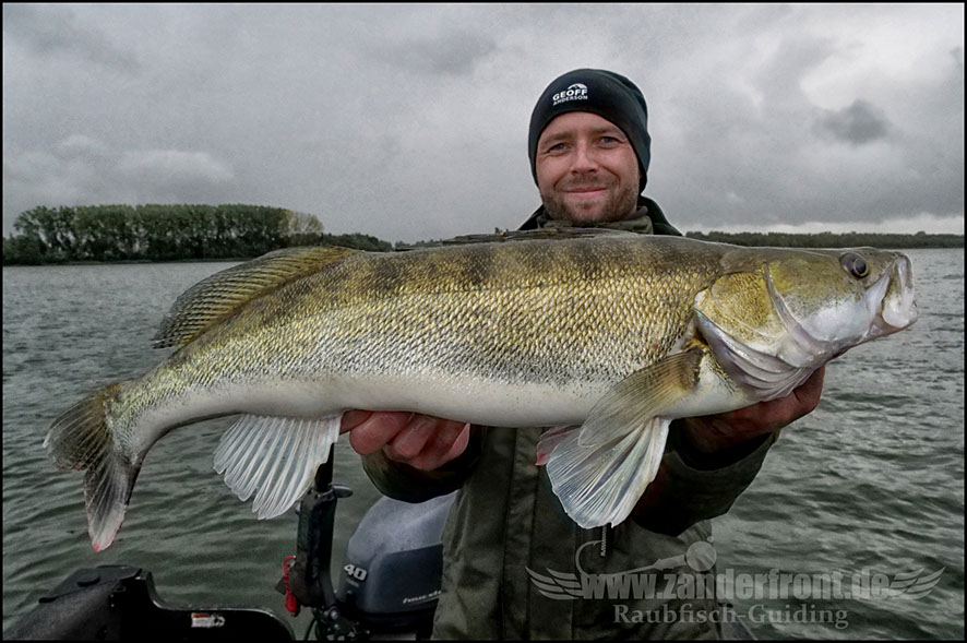 monster Hecht vertikal