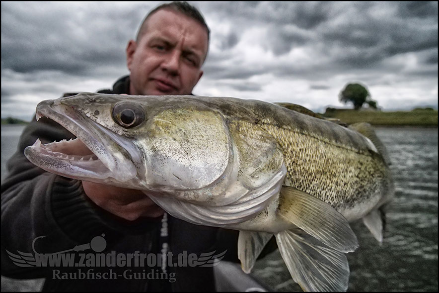 monster Hecht vertikal