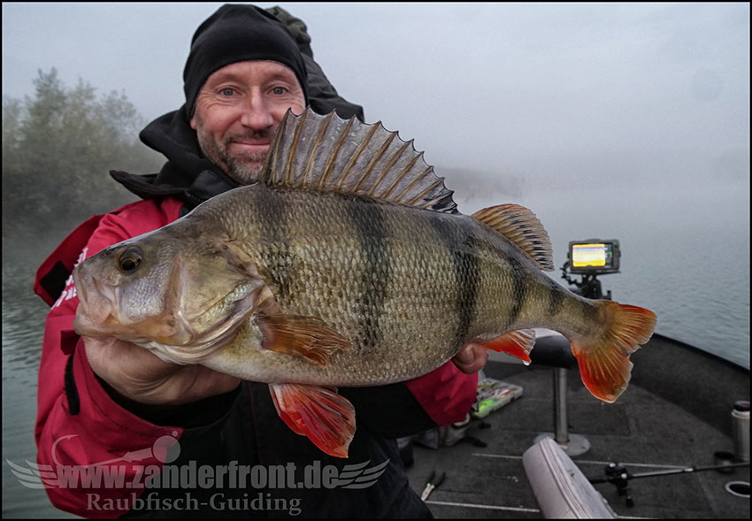 monster Hecht vertikal