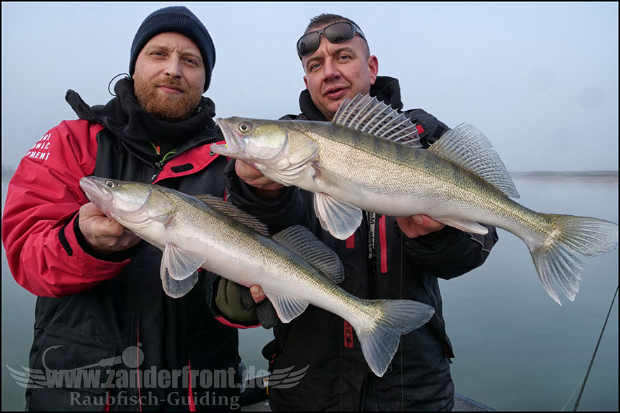 monster Hecht vertikal