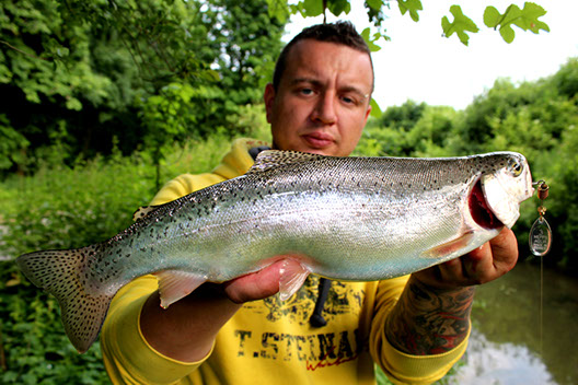 Mepps Spinner Regenbogenforelle