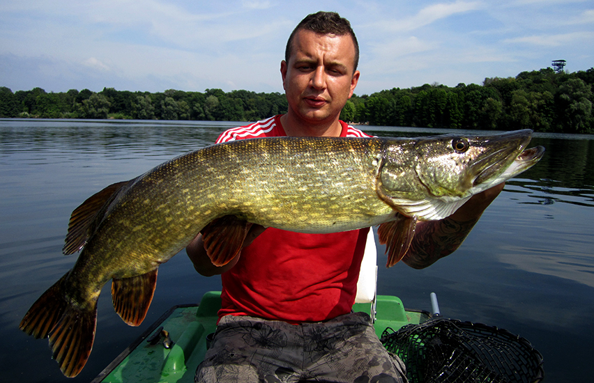 hecht baitcaster rolle