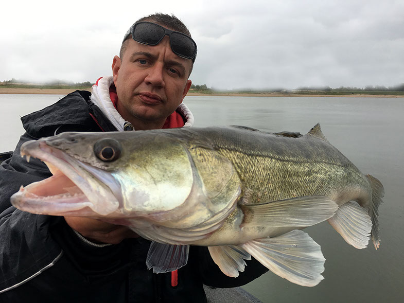 Okuma One Rod trigger