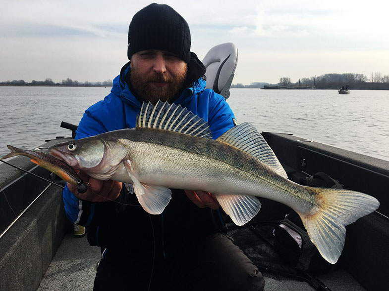 Savage Gear 3D Bleak