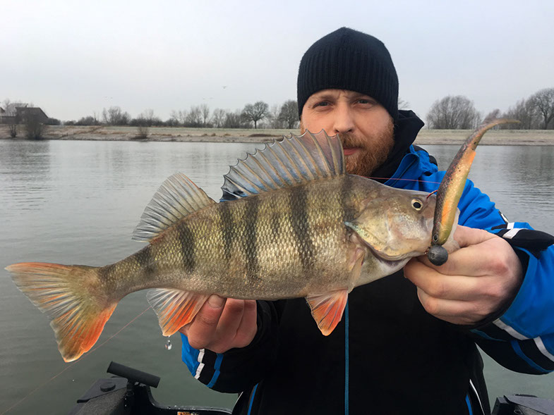 Savage Gear 3D Bleak