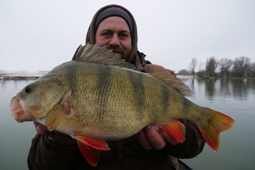 lowrance HDS 9 Gen 3