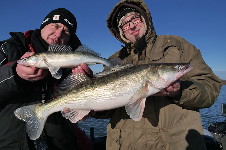 zander guiding holland