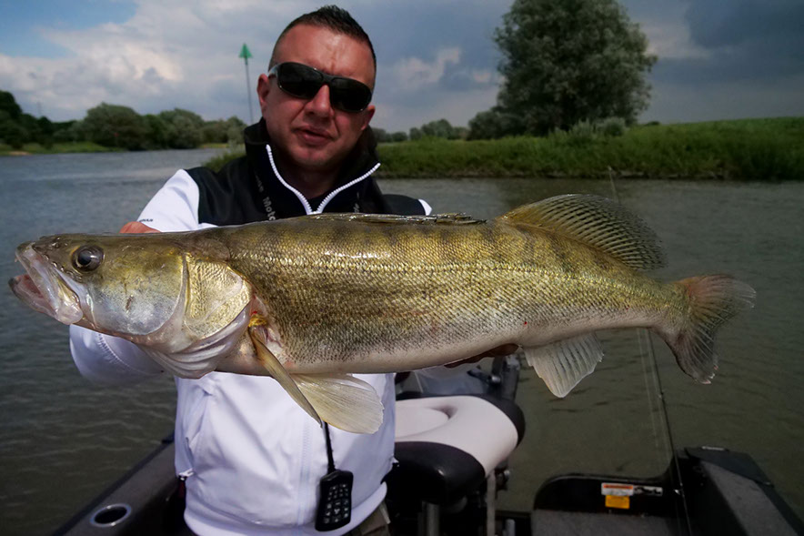 Daiwa tournament D´fin