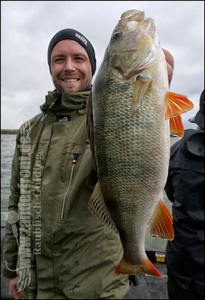 Daiwa tournament 8 braid evo