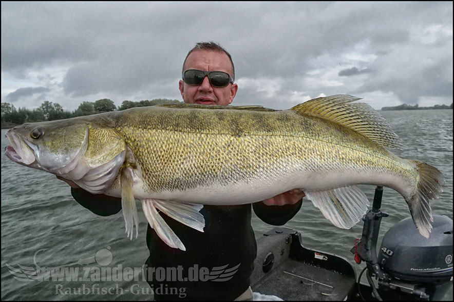 Daiwa tournament 8 braid evo