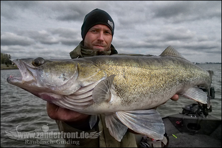 Daiwa tournament 8 braid evo