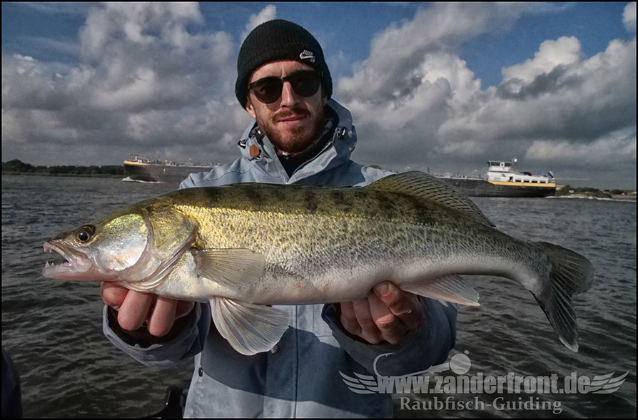 Daiwa tournament 8 braid evo