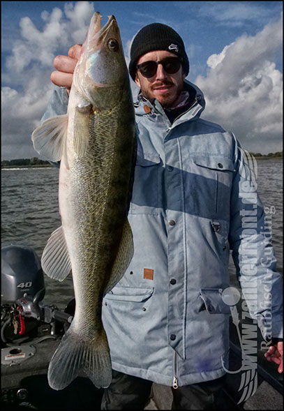 Daiwa tournament 8 braid evo