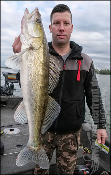 Daiwa tournament 8 braid evo