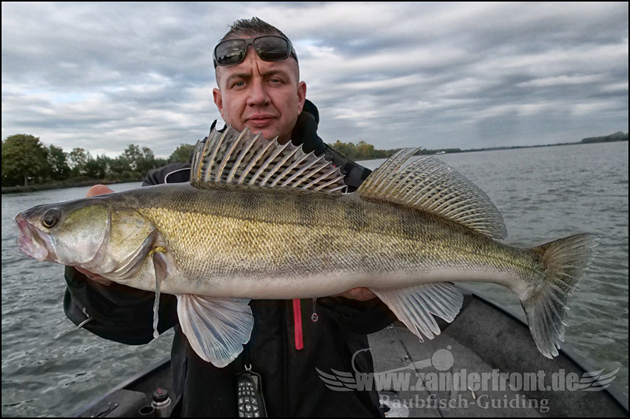 Daiwa tournament 8 braid evo