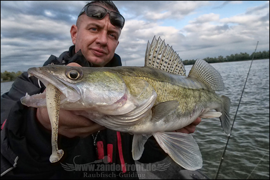 Daiwa tournament 8 braid evo