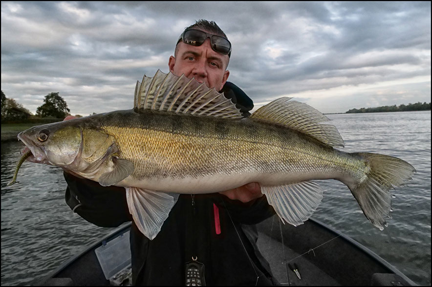 Daiwa tournament 8 braid evo