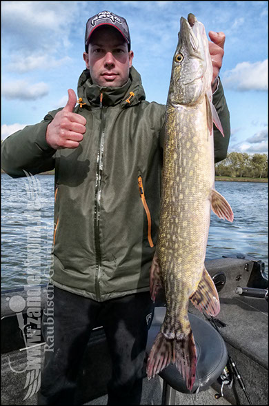 Daiwa tournament 8 braid evo