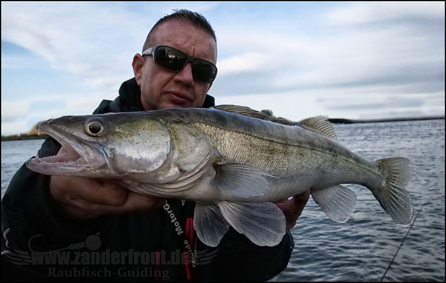 Daiwa tournament 8 braid evo