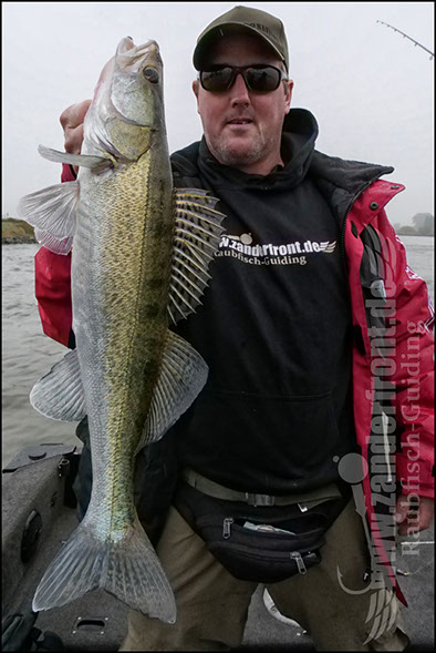 Daiwa tournament 8 braid evo