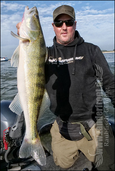 Daiwa tournament 8 braid evo