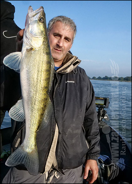 Daiwa tournament 8 braid evo