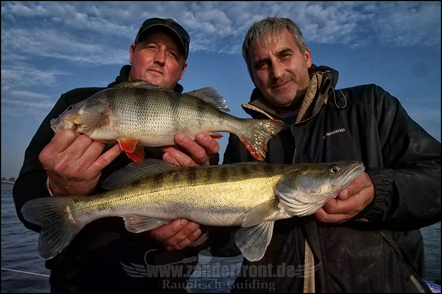 Daiwa tournament 8 braid evo