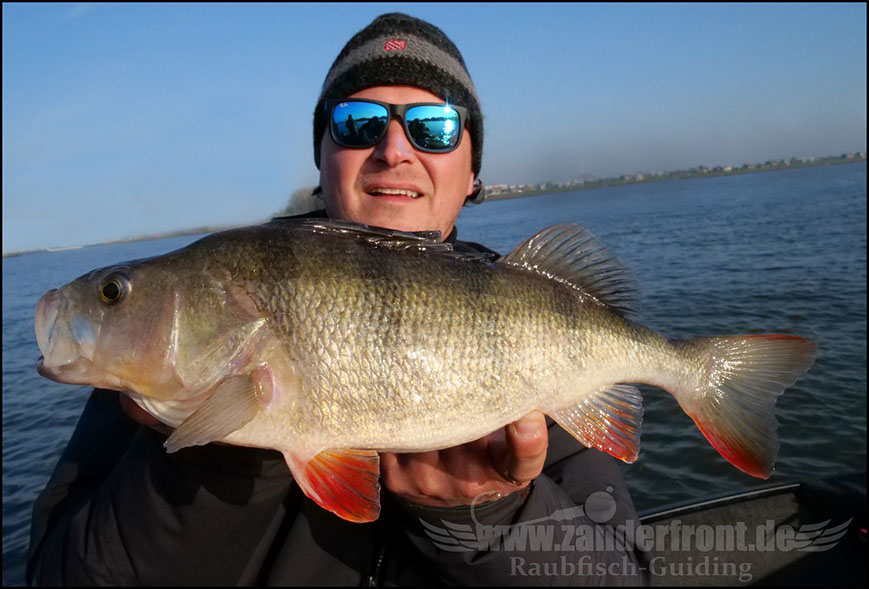 Daiwa tournament 8 braid evo