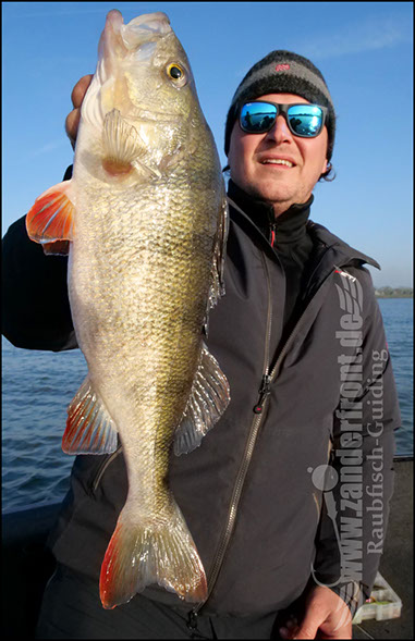 Daiwa tournament 8 braid evo