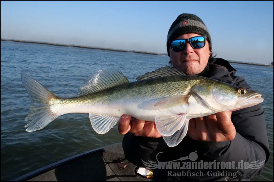 Daiwa tournament 8 braid evo